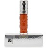 Rose Berry Lip Gloss, Shimmer Finish, Charming Lips, Shade 210