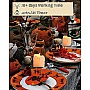 Wonka LOGUIDE LED Flameless Votive Candles with Timer, Battery Operated Fake Candles, Pack of 12