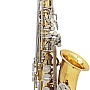 Btuty Alto Saxophone in Shiny Brass - E-Flat Engraving with Natural White Shell Buttons, Case, Gloves, Cleaning Cloth, Mute, Belt and Brush
