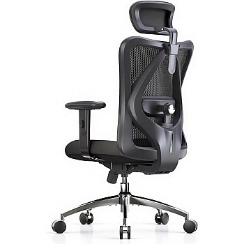 Office Desk Chair, Ergonomic Computer Chair with Adjustable Headrest and Lumbar Support,High Back Executive Swivel Chair(Black)