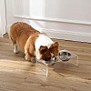 DBL2000A Keaton 5" Small/Medium Modern Lucite Rectangular Elevated Pet Feeder with 20oz 2-Stainless Steel Bowls, Clear/Chrome