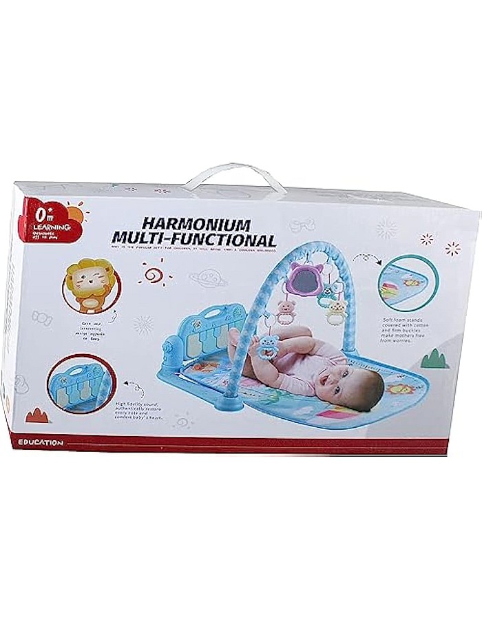 Harmony Harmony Multi-Function Rug with Multi-Color Piano Pedal