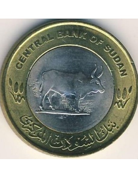 Old Coin 20 Sharks Sudan