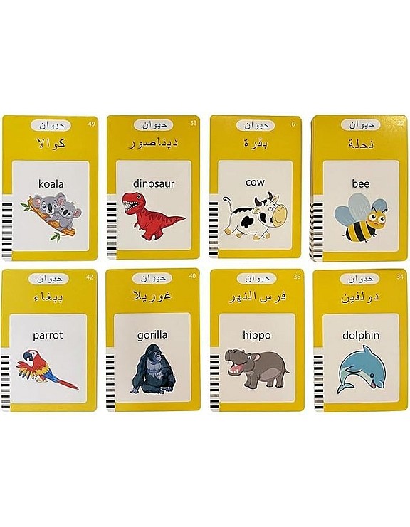 Arabic & English Pronunciation Early Educational Flash Cards For Kids (Blue)