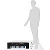 Digital Electric Organs - Advanced Multi-Material Body with Realistic Sound and Ergonomic Keys for Musicians