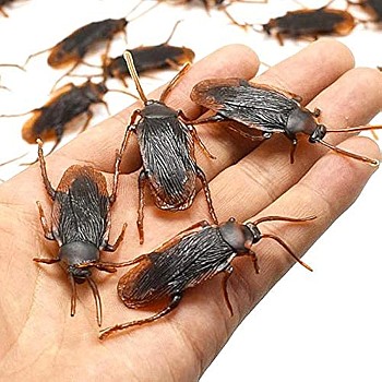 10 Pcs Fake Cockroach Toy Simulation Cockroach Trick Halloween Party Decoration April Fool's Day Plastic Multicolor