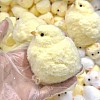 Squishy Chick, Cute Chick Squishy Toy, Chick Squeeze Toy, Chicken Fidget Toys, Squishy Chick Anti-Stress Toy, Chick Squeeze Toy for Adults and Children