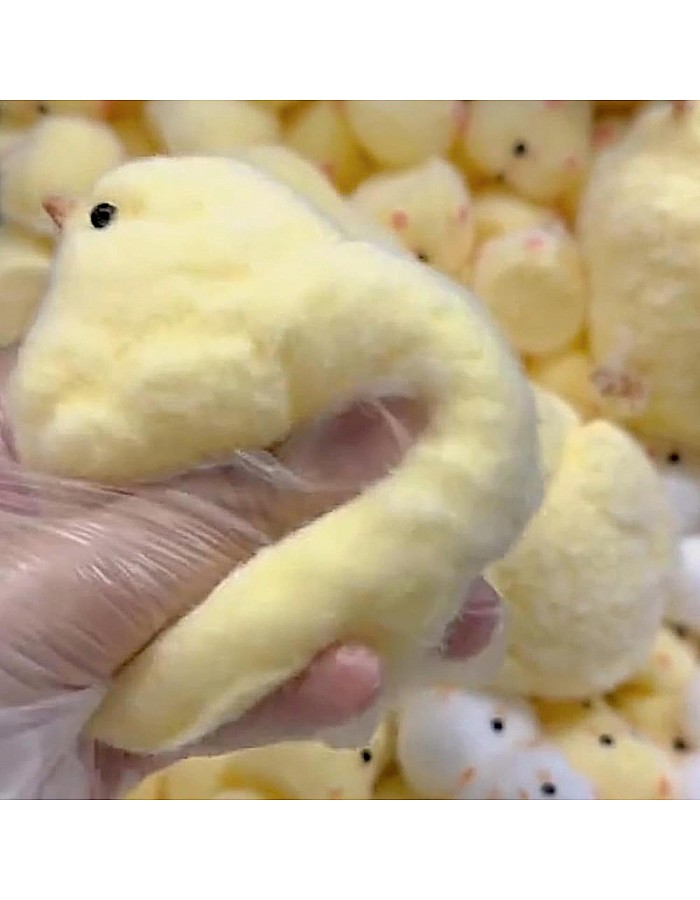Squishy Chick, Cute Chick Squishy Toy, Chick Squeeze Toy, Chicken Fidget Toys, Squishy Chick Anti-Stress Toy, Chick Squeeze Toy for Adults and Children