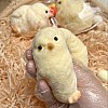 Squishy Chick, Cute Chick Squishy Toy, Chick Squeeze Toy, Chicken Fidget Toys, Squishy Chick Anti-Stress Toy, Chick Squeeze Toy for Adults and Children