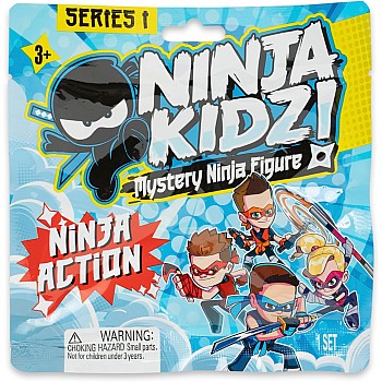 Ninja kidz Series 1 Action Mystery Figures