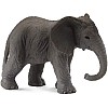 African Elephant Calf