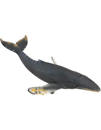 Collecta Humpback Whale Miniature Animal Figure Toy