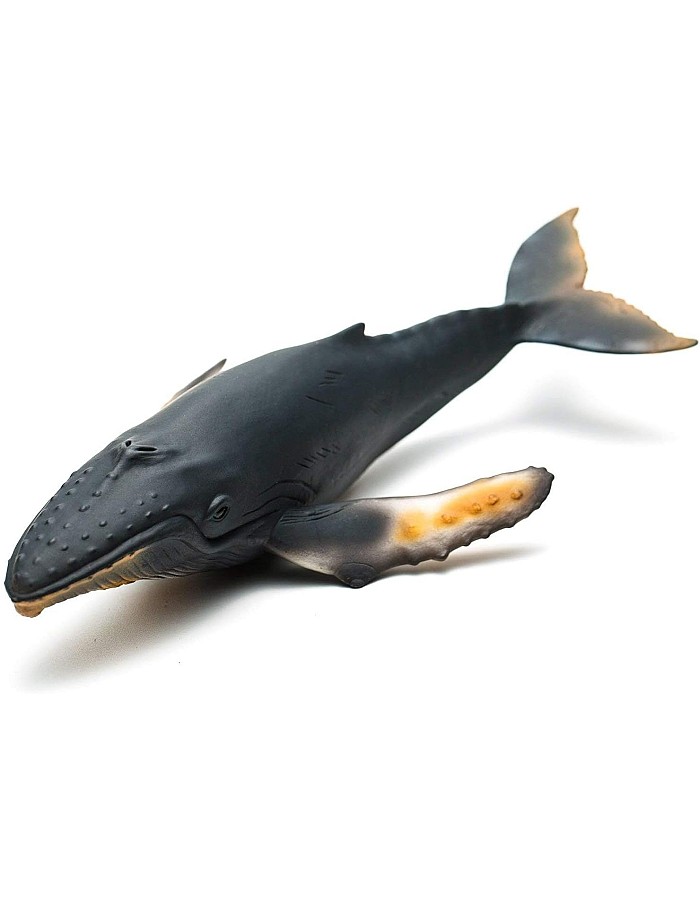 Collecta Humpback Whale Miniature Animal Figure Toy