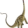 CollectA Diplodocus Dinosaur Toy Dinosaur Figure - Authentic Hand Painted & Paleontologist Approved Model, Green