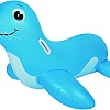 Sea Lion Rider