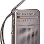 باناسونيك rf-p50 AC - راديو محمول AM - FM يعمل بالبطارية (توقف من قبل الشركة المصنعة) (فضي - صغير)