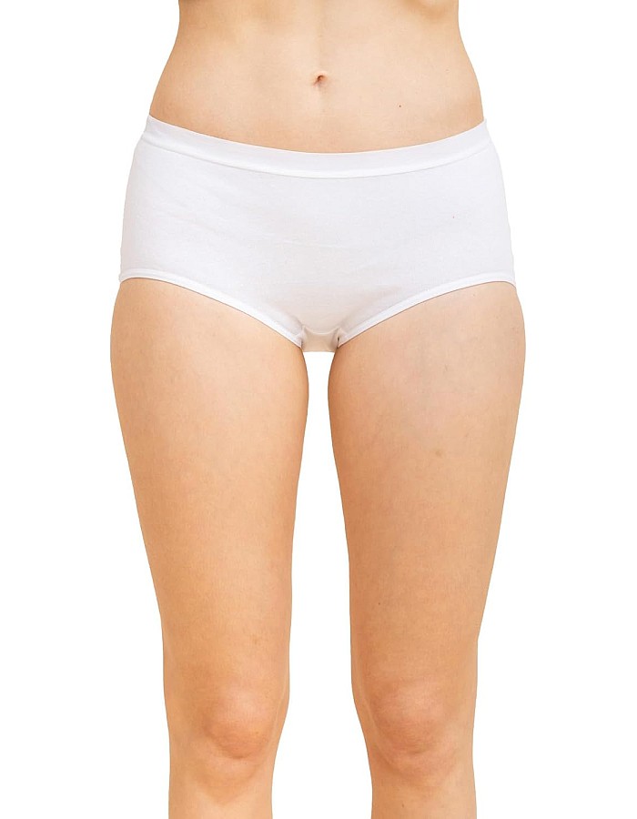 Charmaine Womens Midi Style Underwear (pack of 3)