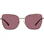 Vogue Eyewear Women's Vo4277sb Butterfly Sunglasses