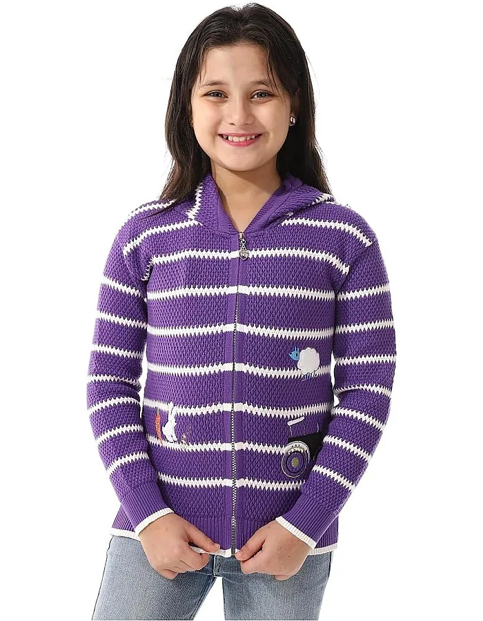 Andora girls Hooded Neck Striped Pullover Sweater (pack of 1)