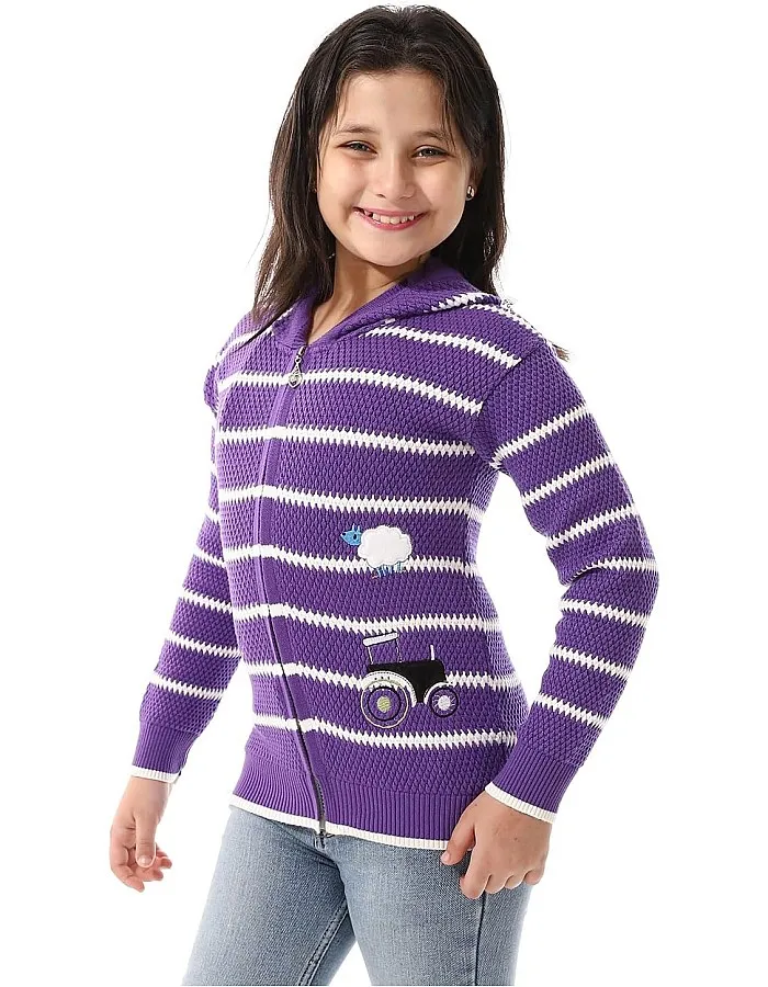 Andora girls Hooded Neck Striped Pullover Sweater (pack of 1)