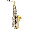 Btuty Alto Saxophone in Shiny Brass - E-Flat Engraving with Natural White Shell Buttons, Case, Gloves, Cleaning Cloth, Mute, Belt and Brush
