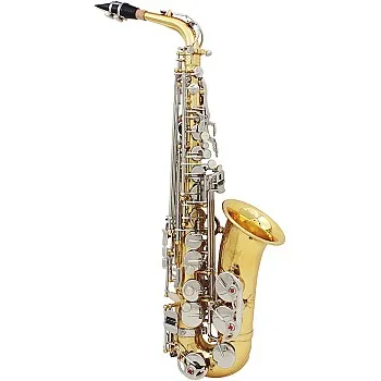 Btuty Alto Saxophone in Shiny Brass - E-Flat Engraving with Natural White Shell Buttons, Case, Gloves, Cleaning Cloth, Mute, Belt and Brush
