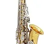 Btuty Alto Saxophone in Shiny Brass - E-Flat Engraving with Natural White Shell Buttons, Case, Gloves, Cleaning Cloth, Mute, Belt and Brush
