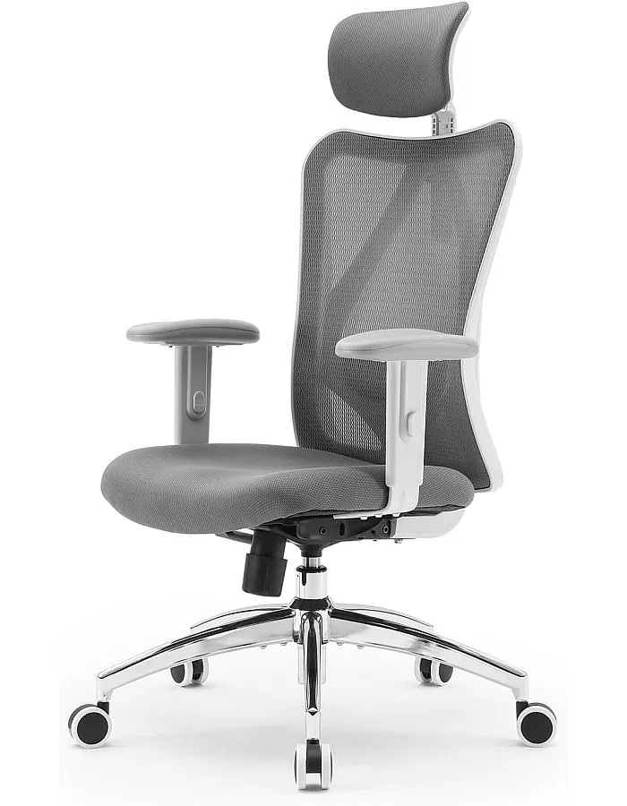 Reyad Group M18 Ergonomic Office Chair, Computer Desk Chair with Adjustable Headrest and Lumbar Support, High Back Executive Swivel Chair for Home Office (Dark Gray)