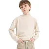DeFacto Boy Casual Regular Fit Stand- Up Collar Long Sleeve Tricot Pullover F1068A8, Ecru Melange5/6 Y