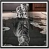 40 × 50 سم 5 دي رسم ماسي على شكل قطة انعكاسية نمر متقاطع ملصقات جدارية لتزيين المنزل