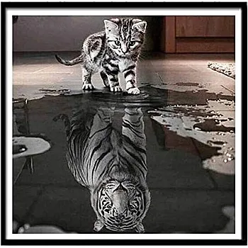 40X50cm 5D DIY Cat Diamond Painting Reflection Tiger Cross Stitch Arts Diamond Embroidery Mosaic Diamonds Wall Stickers Home Decoration