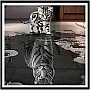 40 × 50 سم 5 دي رسم ماسي على شكل قطة انعكاسية نمر متقاطع ملصقات جدارية لتزيين المنزل