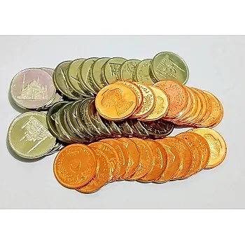 Egyptian Coin Collection 50 Count by Shellen & Prize 2008 Latest Edition