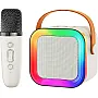 Mini Karaoke Machine with Bluetooth Speaker - Wireless Microphone Portable Kids Karaoke Device with LED Light Voice Changer Birthday Gift Toy for Girls and Boys 4-12 Years