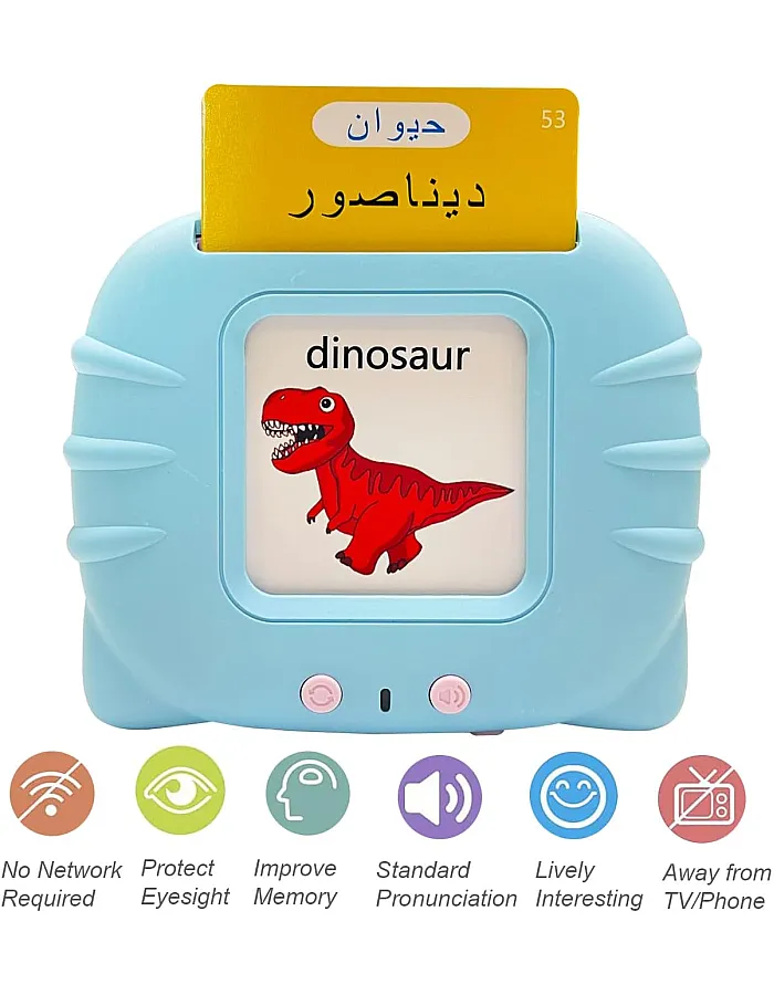 بطاقات فلاش تعليمية للأطفال باللغة الإنجليزية واللغة العربية لتعلم الحروف العربية من مينمر، 224 كلمة أساسية مرئية، ألعاب الأطفال الصغار