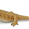 Collecta Bearded Dragon Lizard Figurine