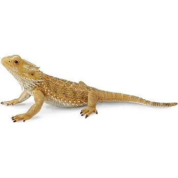 Collecta Bearded Dragon Lizard Figurine