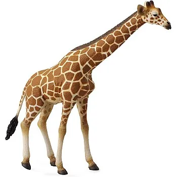 Collecta wildlife reticulated giraffe toy figure - authentic hand painted model