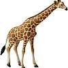 Collecta wildlife reticulated giraffe toy figure - authentic hand painted model