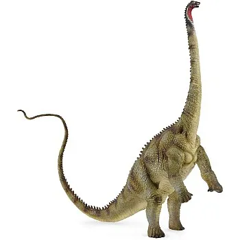 CollectA Diplodocus Dinosaur Toy Dinosaur Figure - Authentic Hand Painted & Paleontologist Approved Model, Green