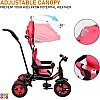BeyBee| Alpha Secure Baby Tricycle for Kids with Sun Canopy & Parents Handle with Bell and Also with a Water Bottle | Color Wheels for Boys and Girls for Age 1 to 5 yrs (Red)