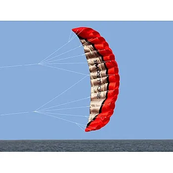 Kwasyo 2.5m Deux Ligne Parapente Cerf-Volant avec Manette 30m,Cerf-Volant pour Le Sport en Plage,Jeux de Plein air dans Le Jardin