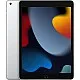 2021 apple 10.2-inch ipad (Wi-Fi, 256gb) - silver