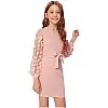 Girls Dress with Mesh Belt with Mesh Sleeves