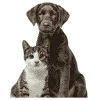 Pet Supplies